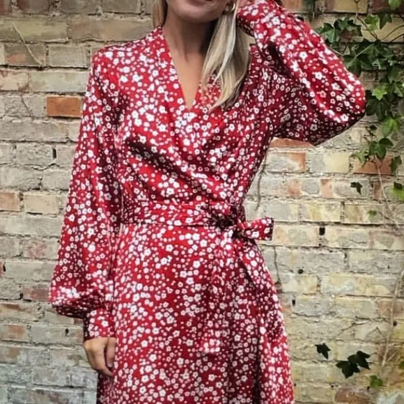 Reflection Goya Studio red dress size zero XS/M - Picture 4 of 8